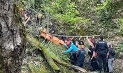 Kalp krizi geçirip dereye düştü