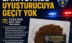 Karakoçan'da uyuşturucuyla mücadele: 1 gözaltı
