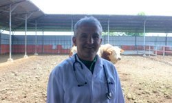 Karanfil 'Veteriner hekim çiftlikten sofraya sağlığın adıdır'