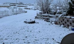 Karapınar'da nisan ayında kar yağışı