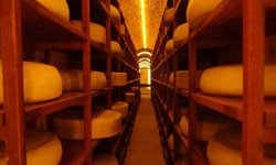 Kars Peynir Müzesi turistlerin gözdesi oldu