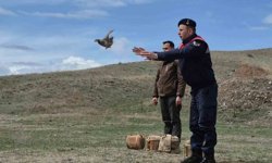 Kars'ta kaçak avcılara darbe: 51 canlı keklik doğaya kazandırıldı