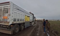 Kars'ta yem ve gübre yüklü tır köy yolunda mahsur kaldı