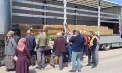 Kastamonu'da çiftçilere 147 bin adet sebze fidesi dağıtıldı