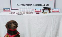 Kastamonu'da uyuşturucu operasyonu: 1 tutuklama