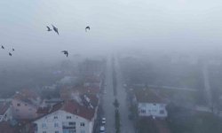 Kastamonu'da yoğun sis