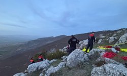 Kayalıklarda mahsur kalan keçiyi arama kurtarma ekipleri kurtardı