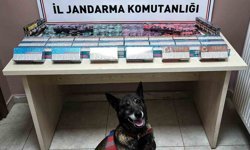 Kayseri'de kaçak sigara operasyonu