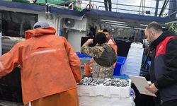 Kırklareli'nde hamsi avcılığına sıkı denetim: 15 milyon 270 bin 699 kilogram hamsi karaya çıkarıldı