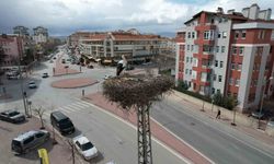 Konya'nın leylekleri direkteki yuvalarına geldi