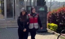 Köpeği camdan sarkıttı, o anları kayda aldı