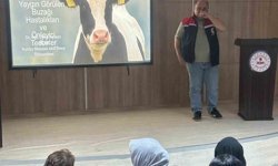 Köşk'te üreticilere buzağı ölümleri ve üreme verimliliği eğitimi