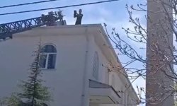 Kovancılar'da mahsur kalan kedi kurtarıldı