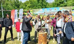 Köyceğiz'de Nevruz Bayramı coşkuyla kutlandı