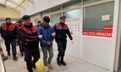 Kulübedeki baltalı ve kazmalı cinayette iki kuzene toplam 30 yıl hapis cezası