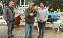 Kuşadası'nda yaralı şahin tedavisinin ardından doğaya bırakıldı