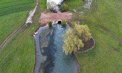 Leyleklerin durağı yemyeşil görüntüsüyle mest ediyor