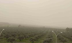 Libya kaynaklı toz taşınımı Osmaniye'de etkili oldu