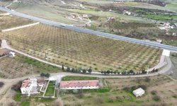 Malatya'da kayısı üreticileri zirai dona karşı önlem alıyor