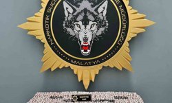 Malatya'da uyuşturucu operasyonu: 2 gözaltı