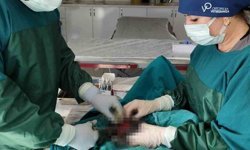 Mardin Hayvan Bakımevinde köpekteki 1 kiloluk tümör operasyonla alındı