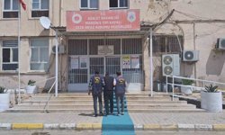 Mardin'de 50 yıl cezası bulunan 2 firari yakalandı