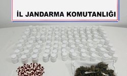 Mardin'de uyuşturucu operasyonu: 1 tutuklama