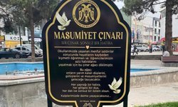 'Masumiyet Çınarları' kaybedilen canların hatırası için dikildi