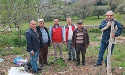 Menteşe'de çiftçiye uygulamalı eğitim