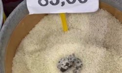 Mersin'de skandal görüntü: Pirinçten kedi dışkısı çıkan markete ceza