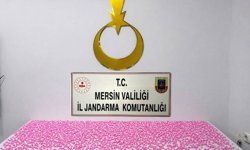 Mersin'de uyuşturucu haplarla yakalanan 2 şüpheli tutuklandı