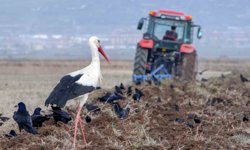 Meteorolojiden zirai don uyarısı