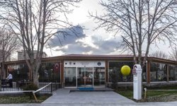 Mimarsinan Pidecisi yenilendi