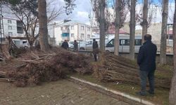 Muradiye'de yüzde 90 hibeli 50 bin adet meyve fidanı dağıtımı yapıldı