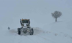 Muş'ta 55 köy yolu kapandı