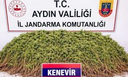 Nazilli'de uyuşturucu operasyonu