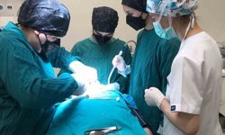 Ordu'da özel bireylerin diş problemlerine etkili çözüm