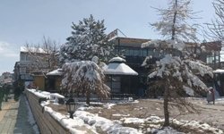 Özalp'ta nisan karı etkili oldu