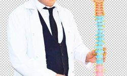 Prof. Dr. Koca'dan bel ve boyun fıtığı hastalarına uyarı