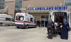 Refahiye'de trafik kazasında yaralanan 6 kişi Erzincan'daki hastaneye getirildi