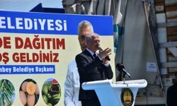 Şahinbeyli çiftçilere sertifikalı fide desteği