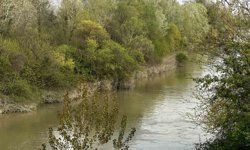 Sakarya Nehri'ne düşen çocuk didik didik aranıyor