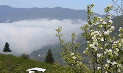 Sakarya'nın yüksek kesimlerinde bahar güzelliği