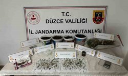 Saksıda kenevir yetiştiren şahıs gözaltına alındı