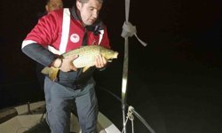 Samsun'da kaçak avcılığa geçit yok: 60 kiloluk sazan geri salındı