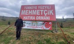 Samsun'da Mehmetçik Hatıra Ormanı'na fidan dikildi
