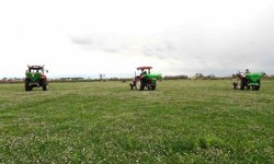 Samsun'da meralarda ıslah çalışmaları sürüyor