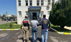 Şanlıurfa'da aranan 2 hükümlü yakalandı