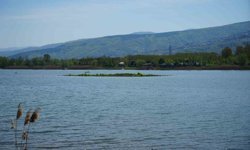 Sapanca Gölü çekildi: Gizemli ada yeniden ortaya çıktı