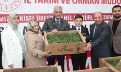 Sebze üretimi yapan çiftçilere fide dağıtıldı